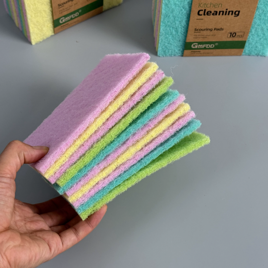 Scouring Pad - 10 Pieces